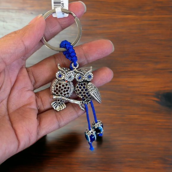 Stainless Steel Keychain Evil Eye Owls Keychain Turkish Eye Keyring Small Gifts - Picture 3 of 6